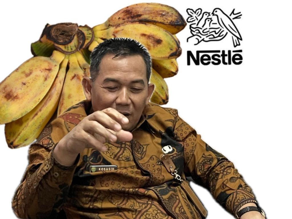 Kepala Bidang Holtikultura Dinas Pangan, Tanaman Pangan dan Holtikultura (DPTPH) Kaltim, Kosasi.